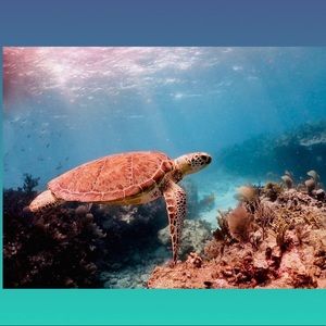 It’s all about matching! 🤿